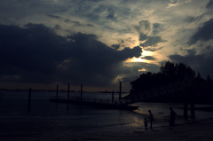 _DSC0331.NEF