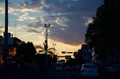 thumb_IMG_3543_1024