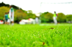 _DSC0844