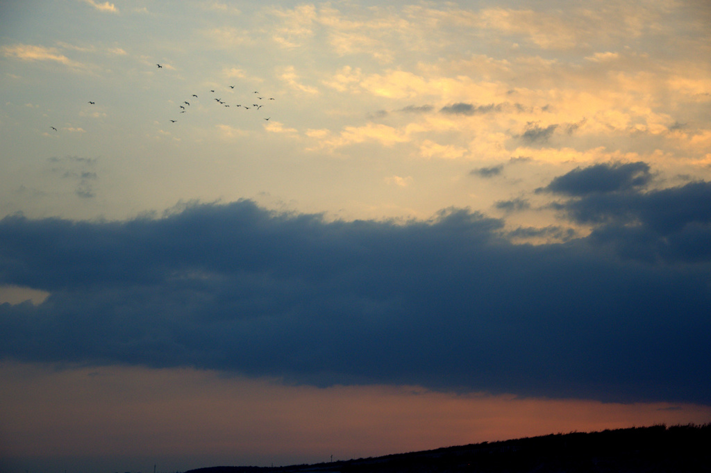 _DSC0007.NEF