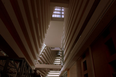 _DSC0156.NEF