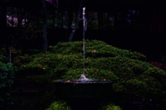 thumb_IMG_0271_1024