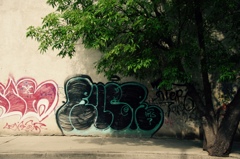 thumb_IMG_3581_1024