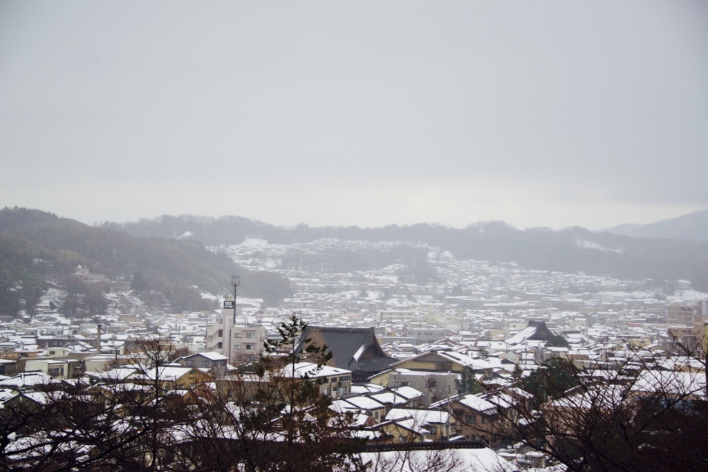 thumb_IMG_0229_1024