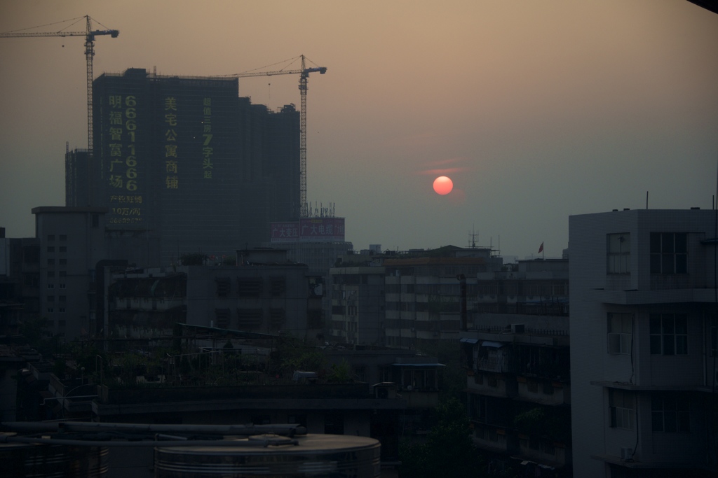 DSC_0805
