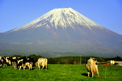 Mt. Fuji