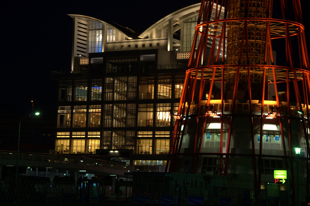_DSC0222.NEF