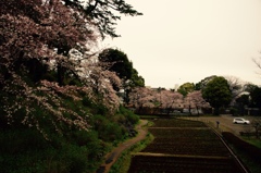 thumb_IMG_3492_1024