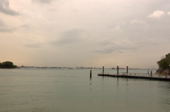 _DSC0279.NEF