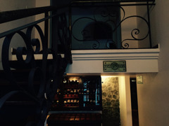 tumblr_nzndx1w5s81sq2obyo8_1280