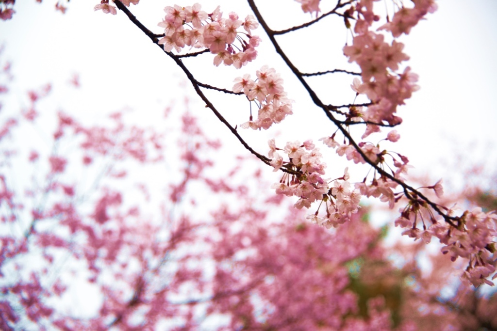 thumb_IMG_3631_1024