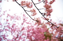 thumb_IMG_3631_1024