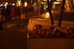 tumblr_o01xpehYZp1sq2obyo3_1280