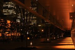 _DSC0190
