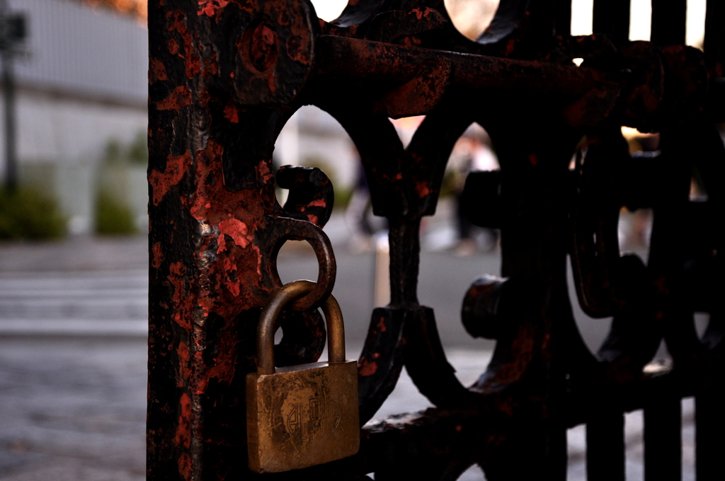 _DSC0244