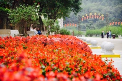 thumb_IMG_3469_1024