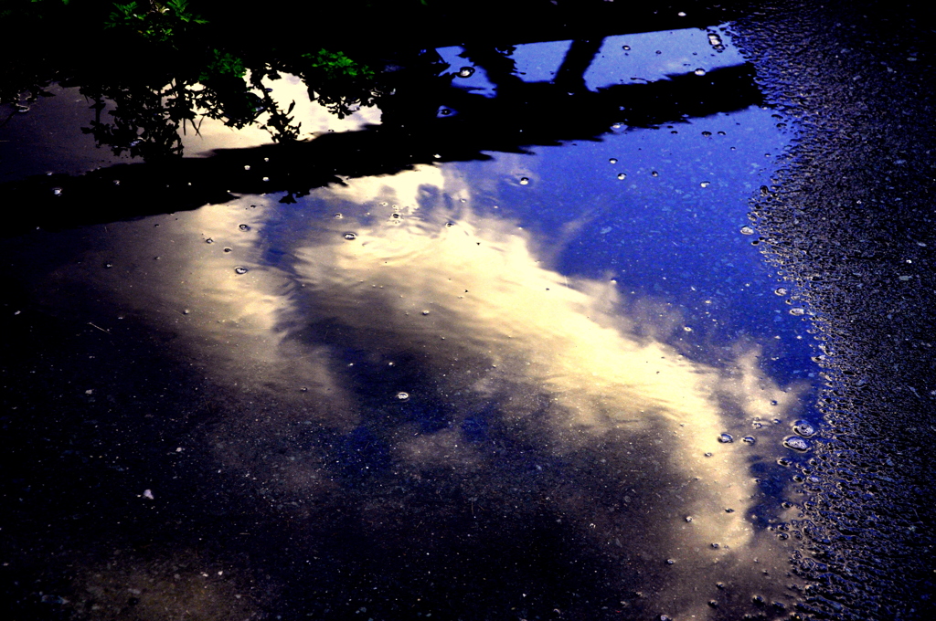 雨上がり