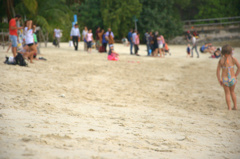 _DSC0318.NEF
