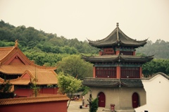 thumb_IMG_3465_1024