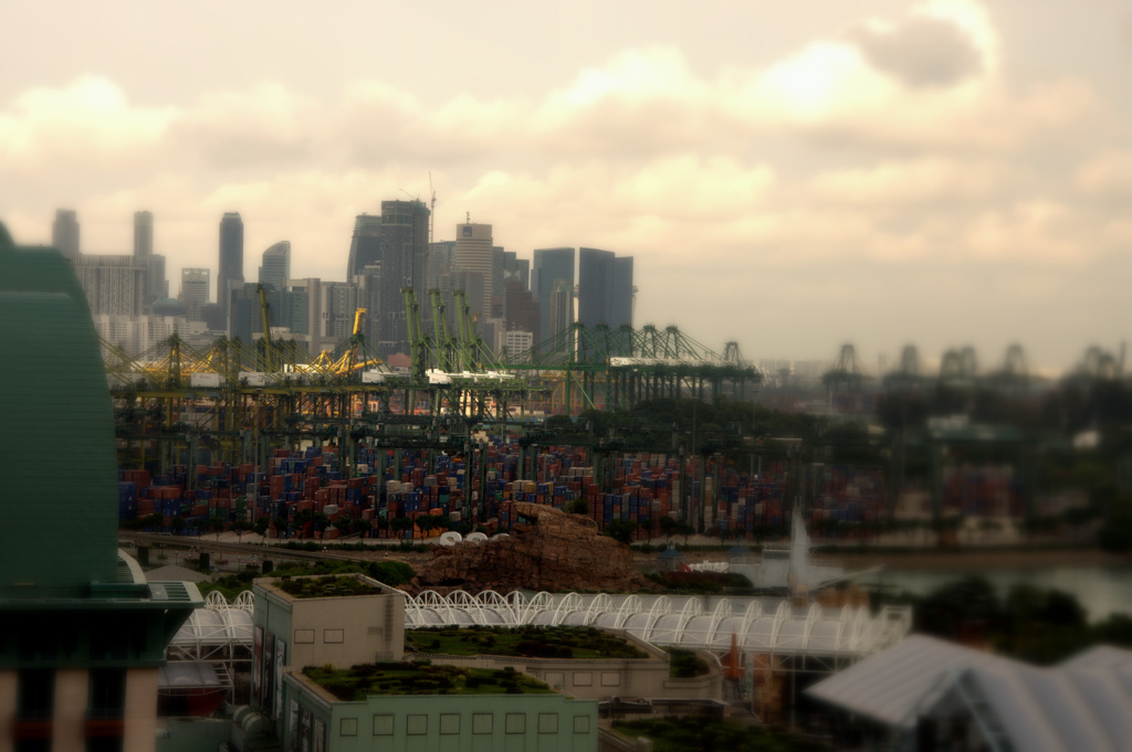 _DSC0289.NEF