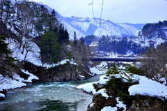 _DSC0593