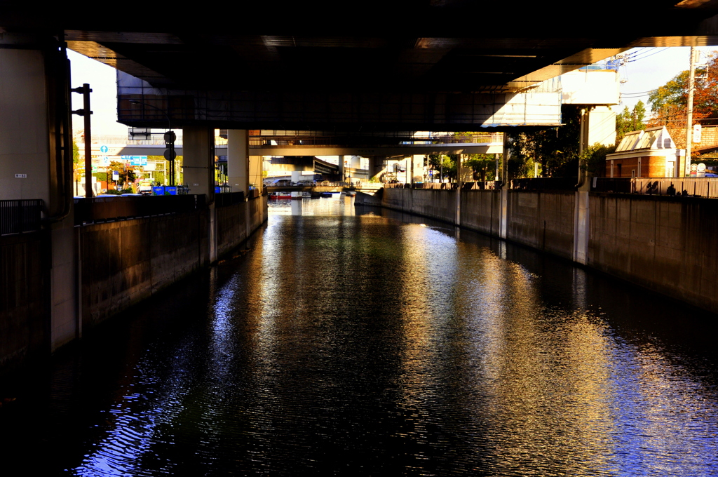 _DSC0020