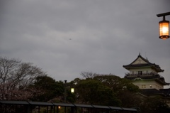thumb_IMG_3486_1024