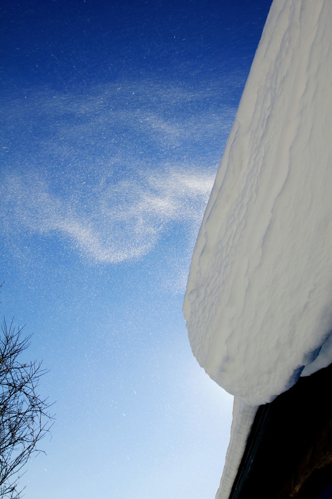 雪舞う