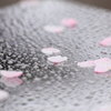 花散らしの雨