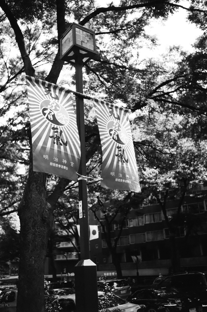 元気！もらえた！
