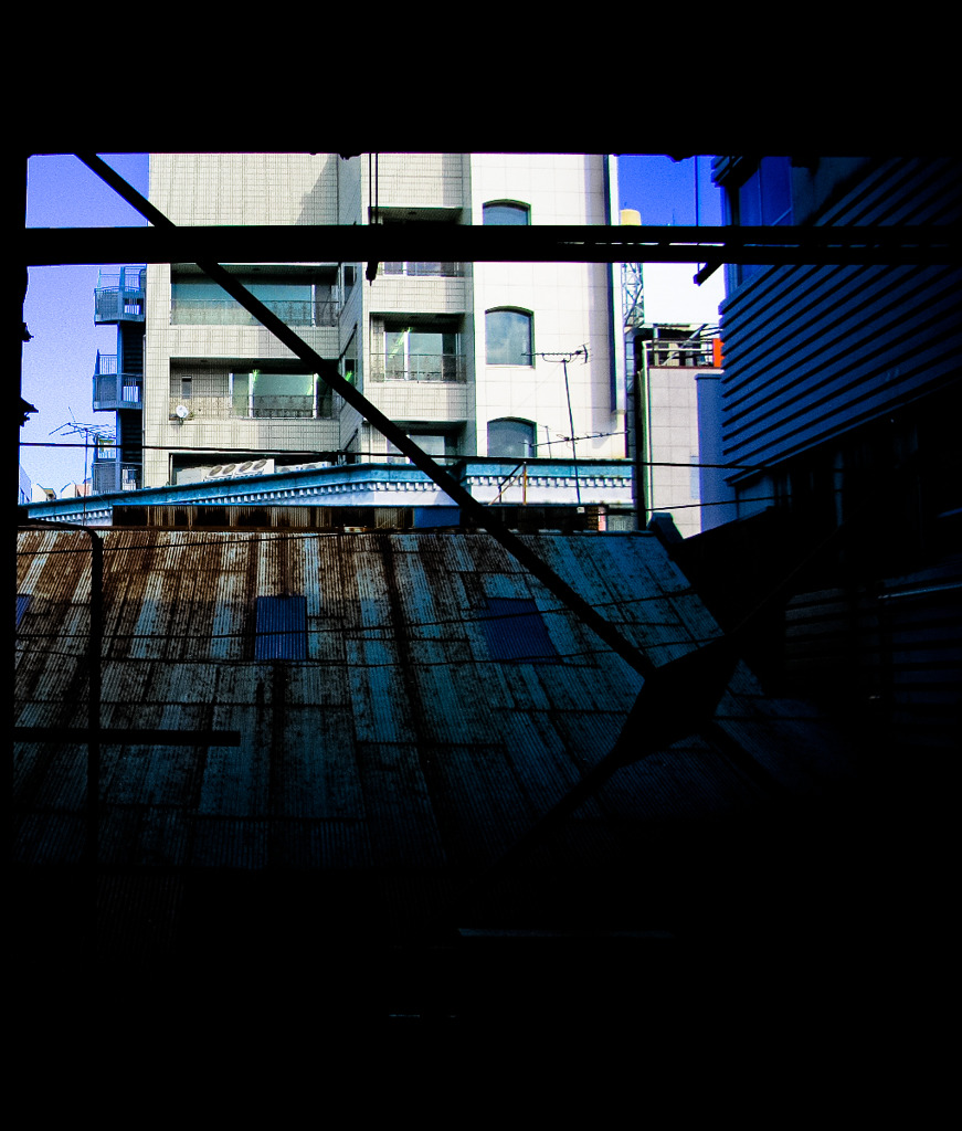 おおおおおきい屋根