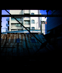 おおおおおきい屋根