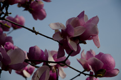 20110402-RYU_0688