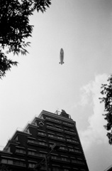 空を泳ぐ