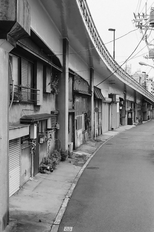 お散歩写真1