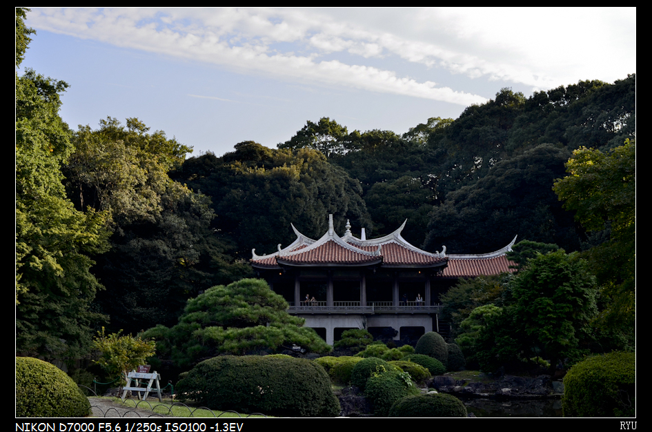 庭園