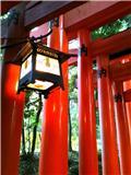 千本鳥居2