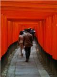 千本鳥居