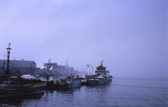 海の濃霧