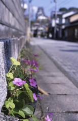城内に侵入