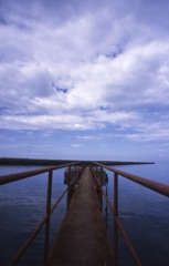 海にむかって
