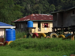 DSC00955