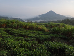 DSC01158