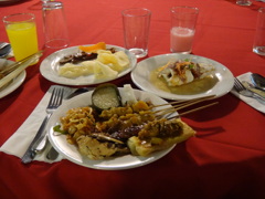 DSC00310