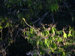 DSC00574