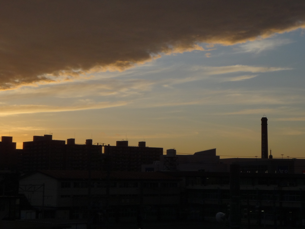 DSC00220.c