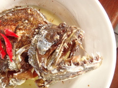 DSC00424