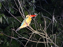 DSC00572