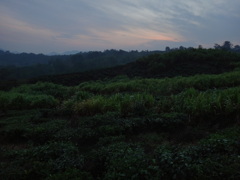 DSC01132