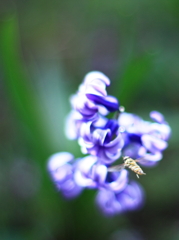 IMG_5668.c